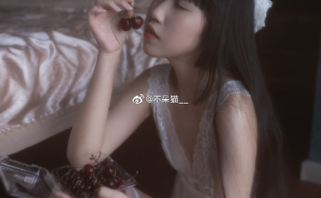 不呆猫 最全图包合集[31套][持续更新]